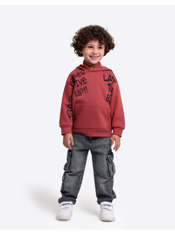 SOLANG Sweatshirt in Rotbraun