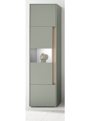Furn.Design Vitrine Salbei grün, Barista Eiche 50 x 197 cm, Vitrinenschrank mit 5 Fächern