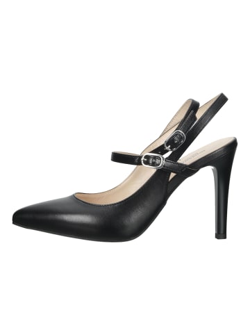 Nero Giardini Pumps in Schwarz