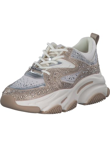 Steve Madden Schnürschuhe in SILVER/GOLD CREAM