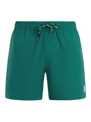 Protest " PRTAgden in Dark Teal