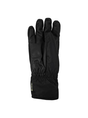 Zanier Handschuhe Rauris.GTX in Weiß