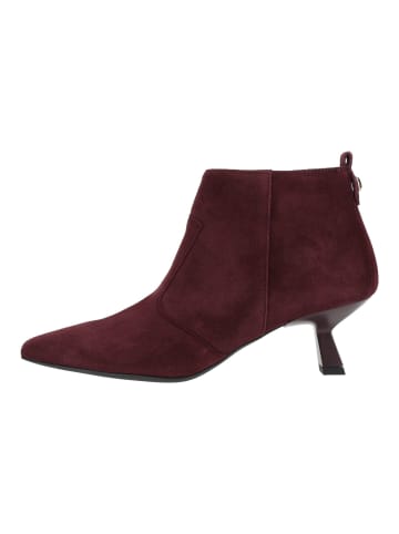 Nero Giardini Stiefelette in Bordeaux