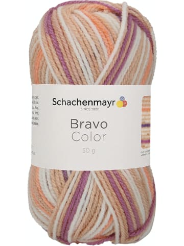 Schachenmayr since 1822 Handstrickgarne Bravo Color, 50g in Beige