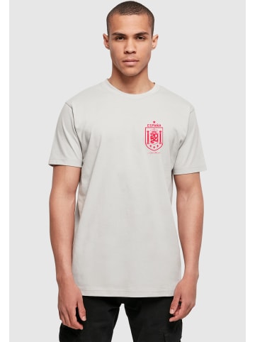 Mister Tee Mister Tee T-Shirts in lightasphalt