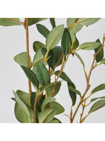 Butlers Kunstblume FLORISTA Weidenzweig in Grün