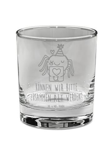 Mr. & Mrs. Panda Glas Spinne Agathe Brief mit Spruch in Transparent