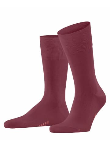 Falke Socken 1er Pack in Rot (Sienna)