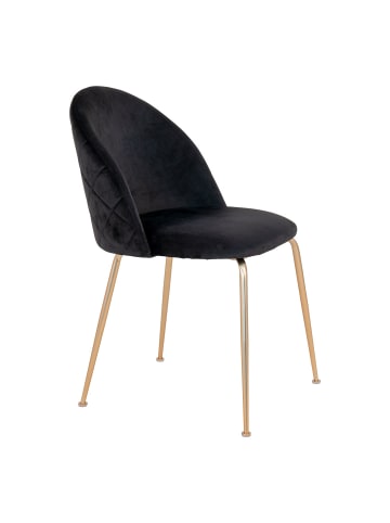 ebuy24 Esszimmerstuhl Geneve Schwarz 2er Set