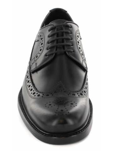 LLOYD Schnürschuhe in schwarz
