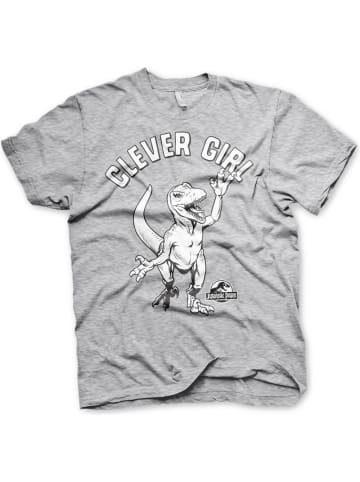Jurassic Park T-Shirt in Grau