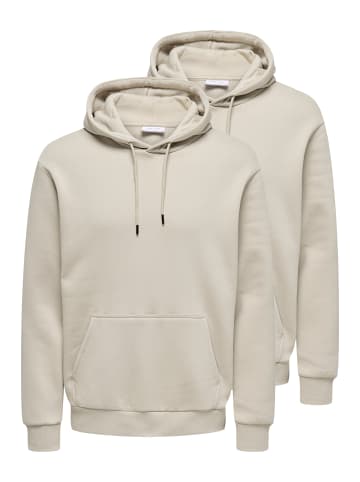 ONLY & SONS Sweatshirt / Hoodie Ceres in Silver lining