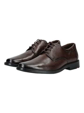 LLOYD Businessschuhe in Moro