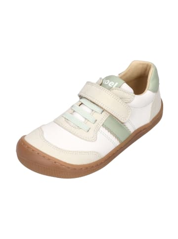 KOEL Sneaker Low DYLAN LEATHER 3.0 in grün