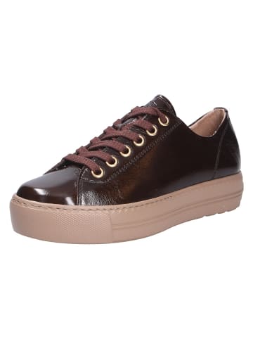 Paul Green Sneaker in braun