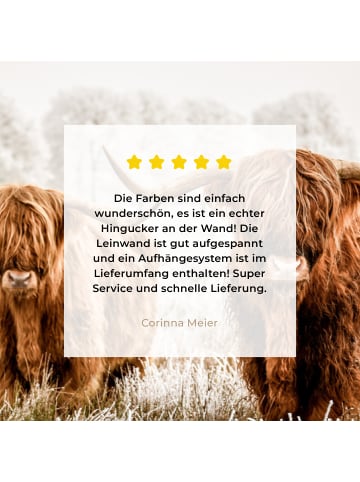 MuchoWow Leinwand bilder Schottische Hochlandrinder