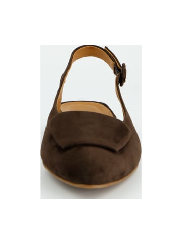 Paul Green Ballerinas in Braun