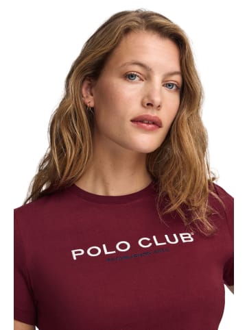 Polo Club T-Shirt in Granat