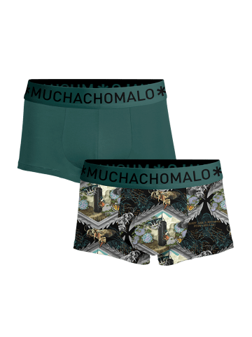 Muchachomalo 2er-Set: Boxershorts in Multicolor/Green