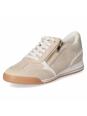 Marco Tozzi Low Sneaker in beige