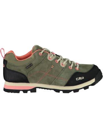 cmp Trekkingschuhe in Khaki