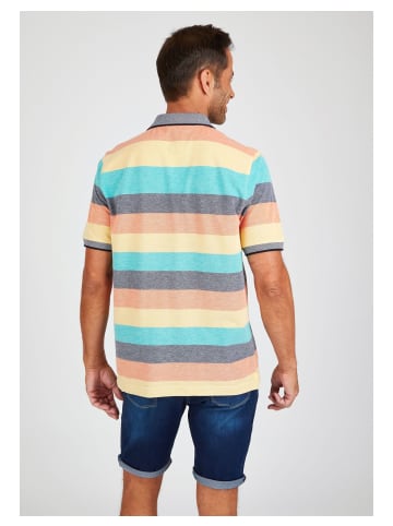 Navigazione Poloshirt in multicolor