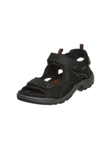 Ecco Sandalen in schwarz