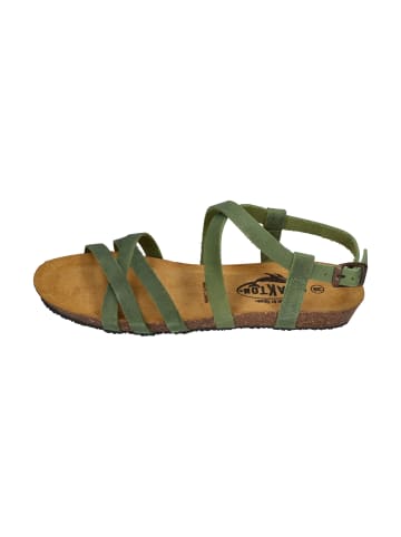 Plakton Sandalen FRAN VALI 405184 in grün