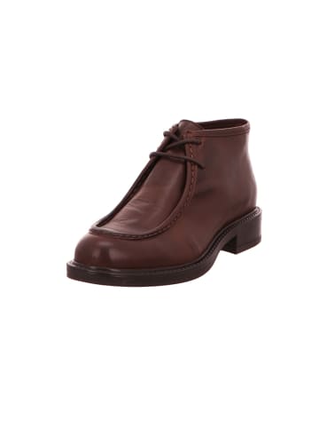 phenumb Stiefel in braun