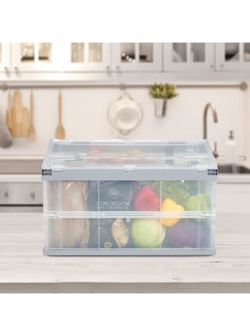 relaxdays 2x Transportbox in Grün - 60 l