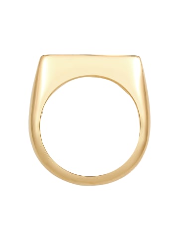 Elli Ring 925 Sterling Silber Geo, Siegelring in Gold