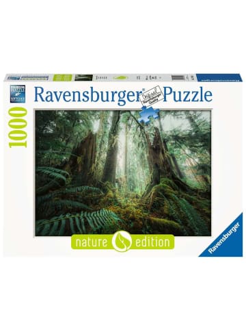 Ravensburger Puzzle 1.000 Teile Faszinierender Wald 14-99 Jahre in bunt