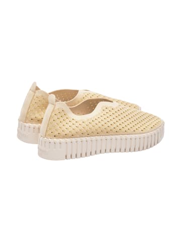 Ilse Jacobsen Sneaker TULIP3373 in Double Cream