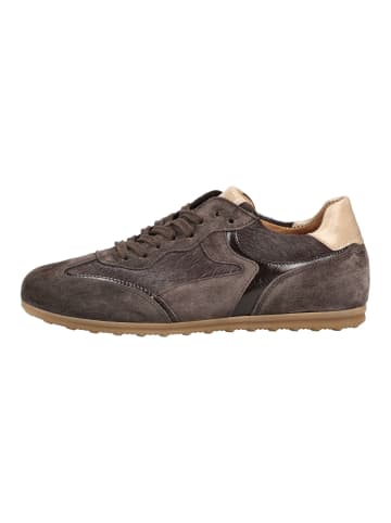 Gabor Sneaker in Mocca