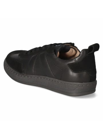 SALAMANDER Schnürhalbschuh in schwarz