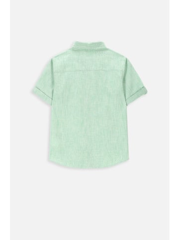 Coccodrillo Hemd mit kurzen Ärmeln in grün