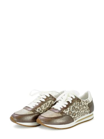 Findlay Sneaker LEO in brown-leo