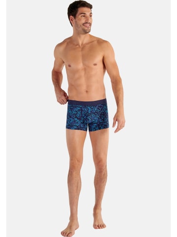 HOM Retro Short / Pant Brian in Blue print