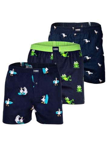 Happy Shorts Web-Boxershorts 3er Pack in Möwe/Frog/Surfing Seagull