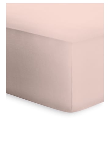 Bassetti Spannbettlaken Boxspring in rose