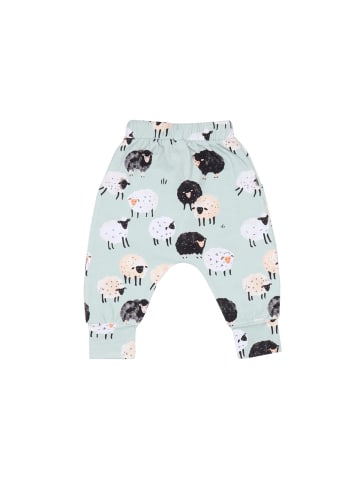 Walkiddy Jogginghose Jogginghose aus Baumwolle (Bio)