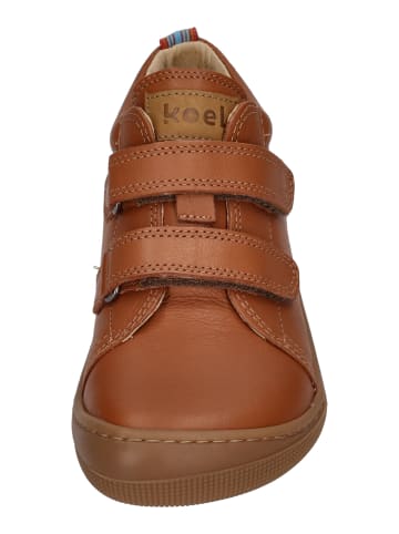 KOEL Sneaker Low DANNY II NAPPA  in braun