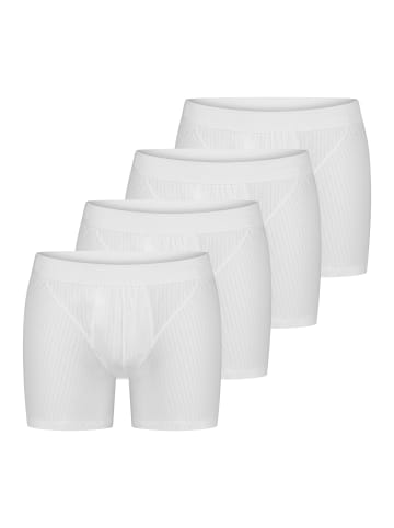 Schiesser Retro Short / Pant Cotton Essentials Authentic in Weiß