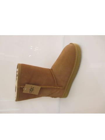 OOG Stiefel  in Beige