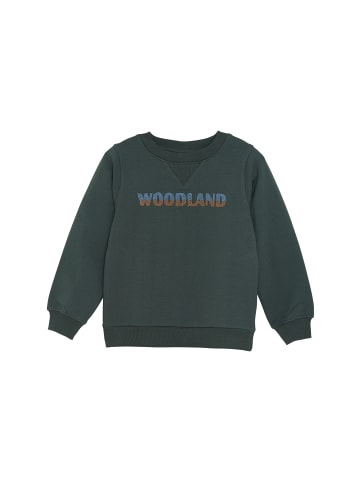 enfant Rundhalspullover ENSweatshirt in Grün