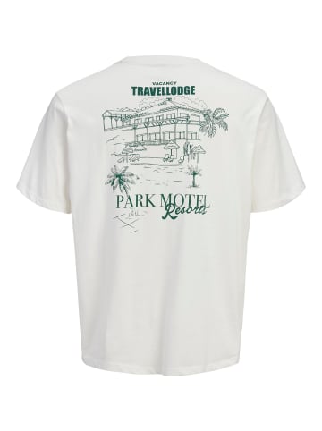 Jack & Jones T-shirt in Cloud Dancer