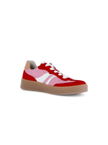 Gabor Sneaker low in multicolour