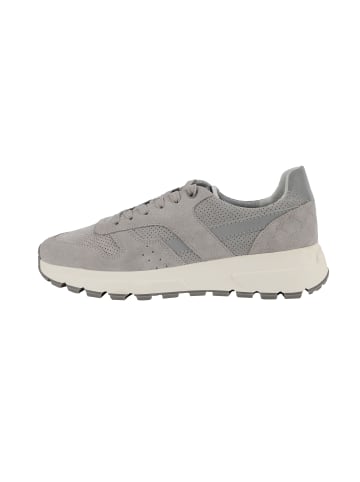 JOOP! Sneaker 'Velluto New Hannis in Hellgrau'
