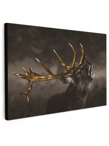OnlyWow Leinwand Bilder Hirsch