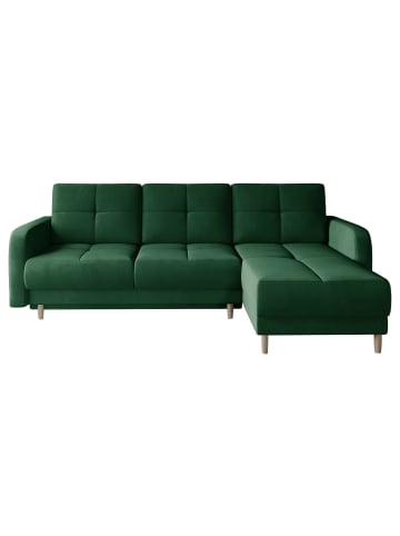 MF Design Roxana in Smaragd -  (L) 165 x (B) 240 x (H) 90 cm